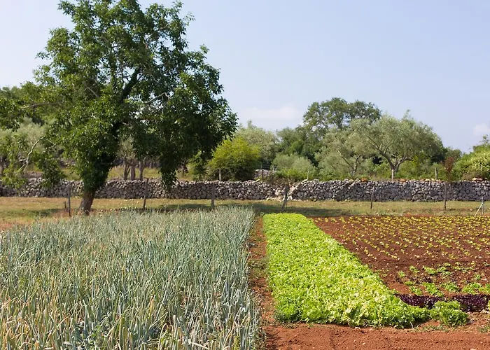 فندق مارغريت